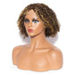 Kinky Curly T-Part Lace Bob Wig P4/27 Highlight Color Human Hair Wig