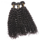 Kinky Curly Bundles With Closure 3 Bundles Virgin Human Hair