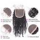 Kinky Curly Bundles With Closure 3 Bundles Virgin Human Hair