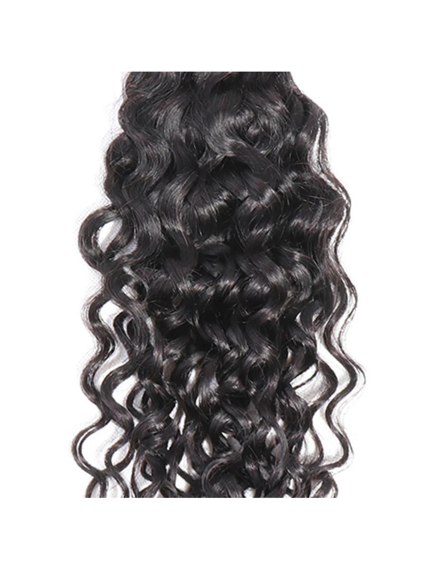 Water Curly Bundles With Closure 100% Human Hair 3 Bundles Hair